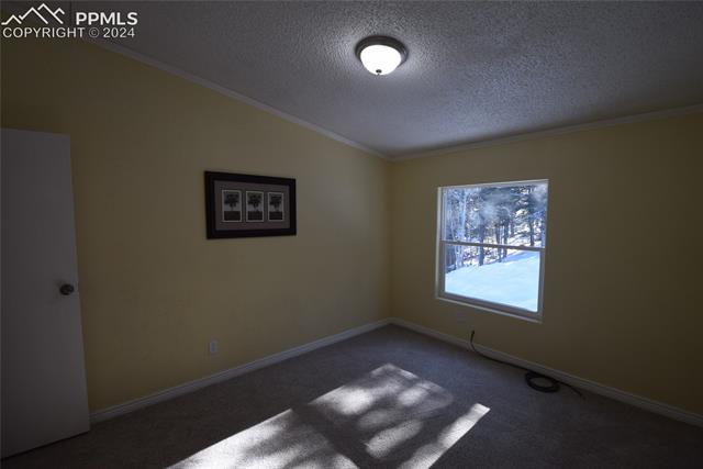 287 Anderson Road Florissant, CO 80816 - Photo 13 of 17 Carpeted empty room featuring ornamental molding and a textured ceiling
