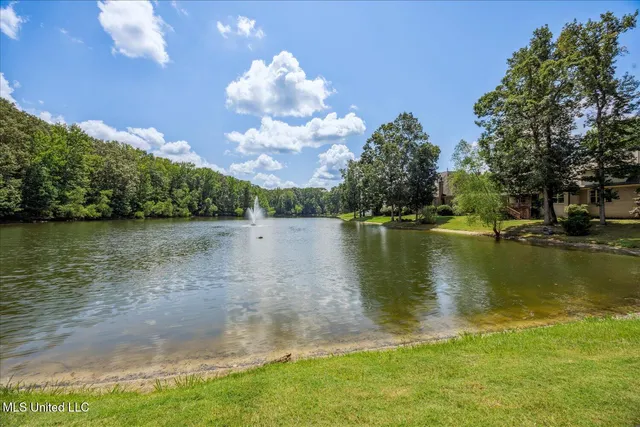 $440,000 | 4788 Bon Jour Drive, Nesbit, MS 38651