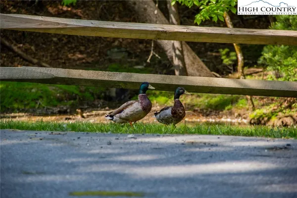 a view of brick house with a large window and a yard