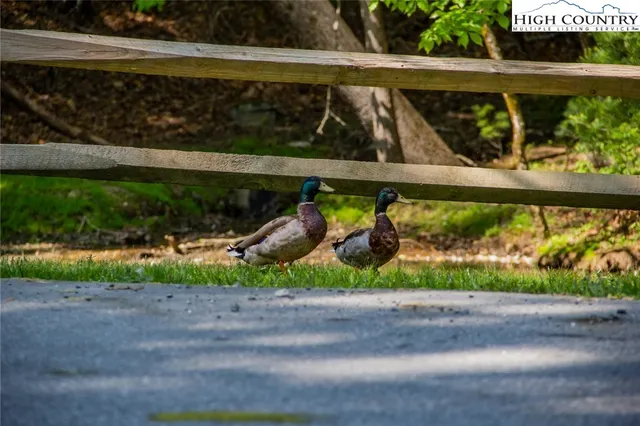 a view of brick house with a large window and a yard