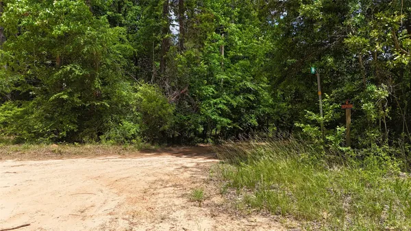 a view of a yard with plants and trees
