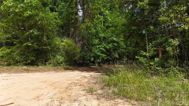 a view of a yard with plants and trees