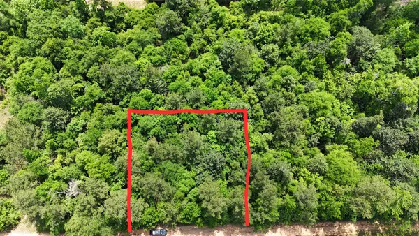 a view of a lush green yard