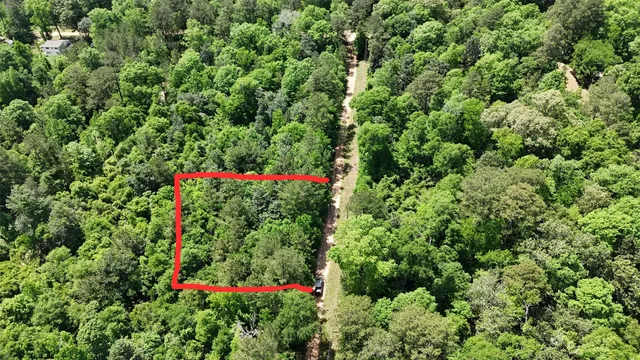 a view of a flower in a garden