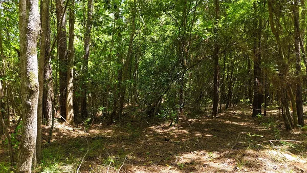 a view of outdoor space and trees