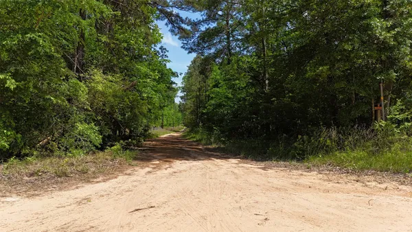 a view of a yard with plants and trees