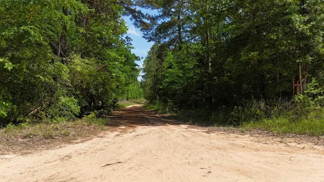 a view of a yard with plants and trees
