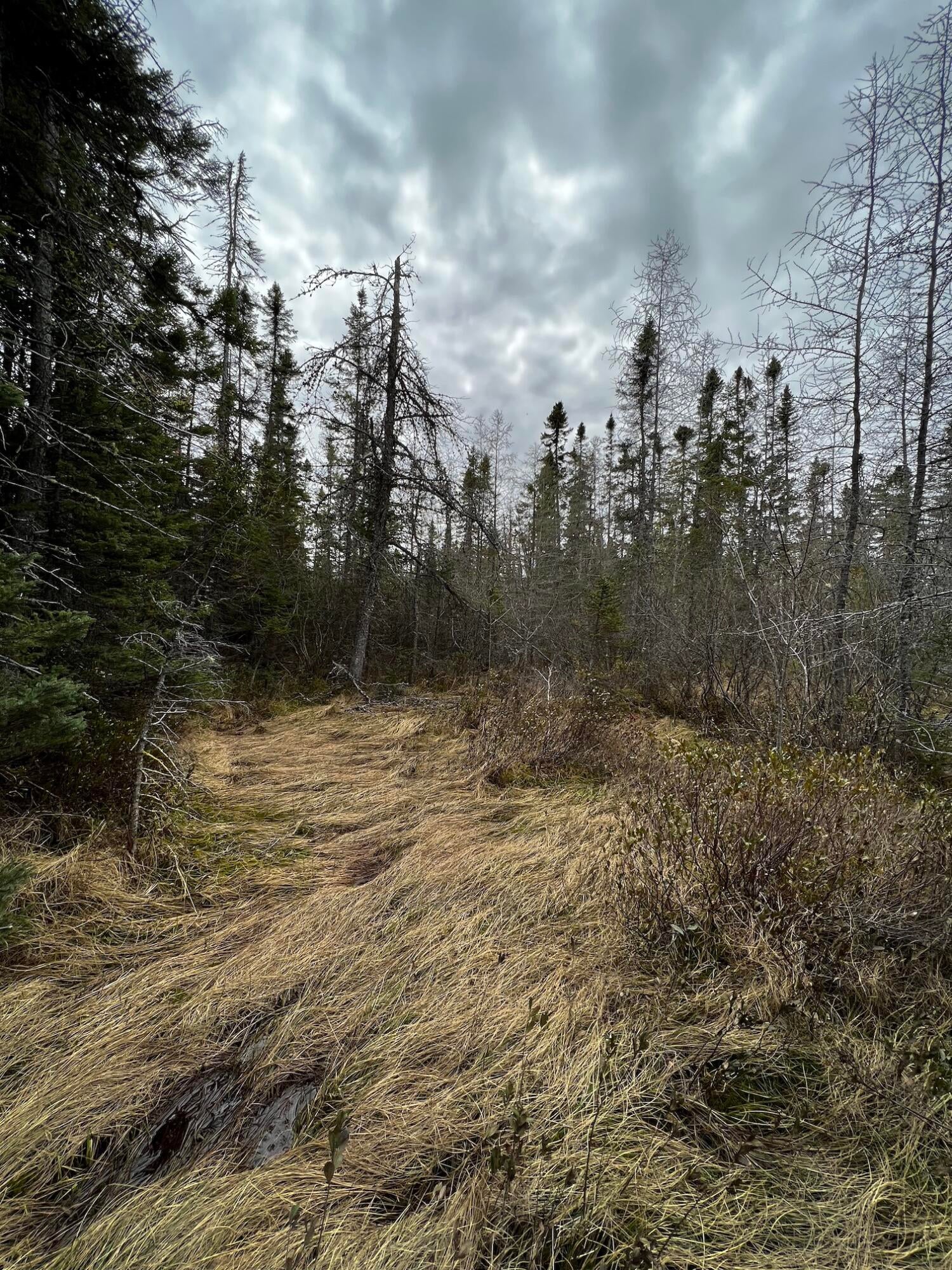 11151 North Whitefish Point Road Paradise, MI 49768 - Photo 8 of 10 Gallery Image 8