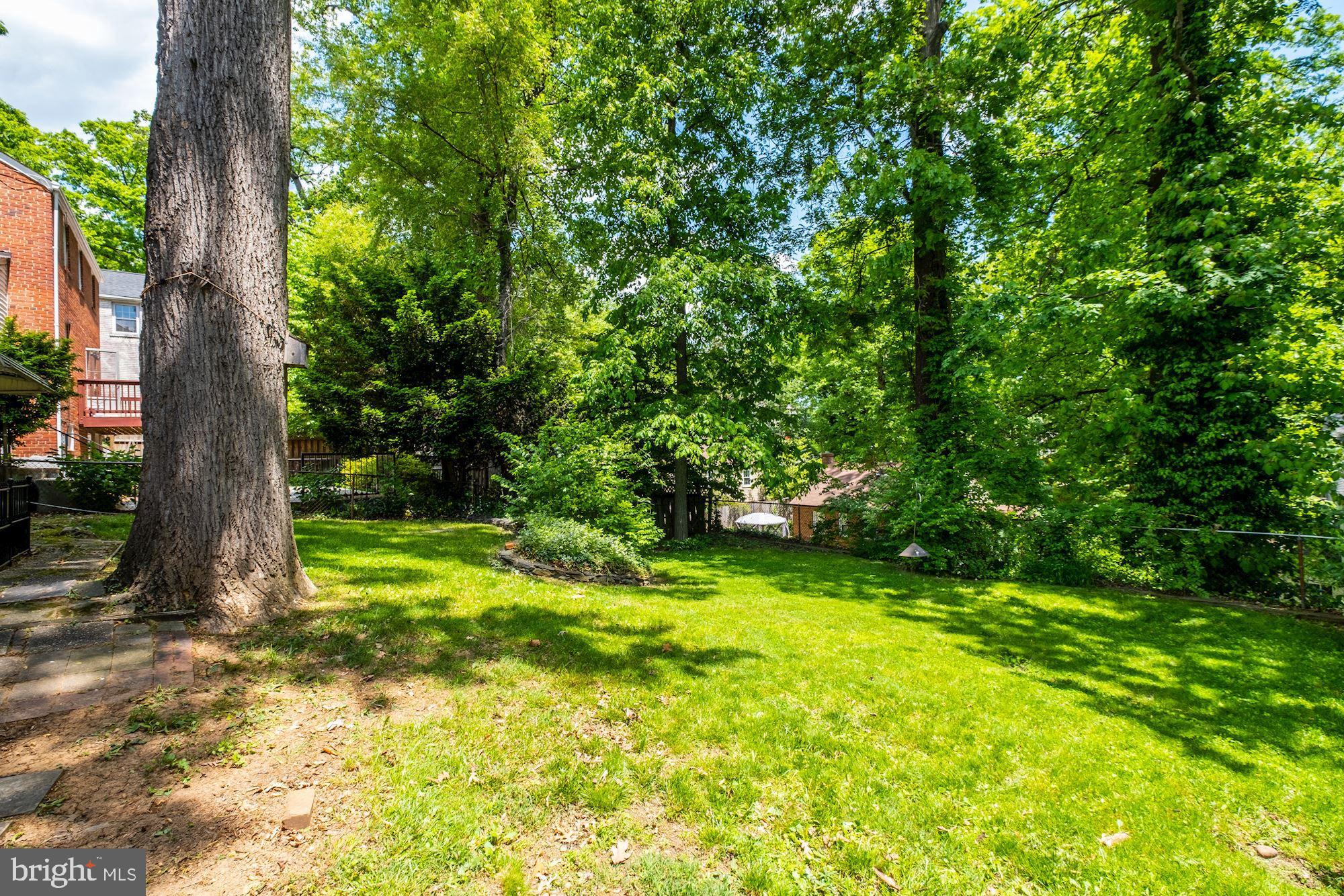 8717 Bradford Road Silver Spring, MD 20901 - Photo 20 of 21 Gallery Image 20