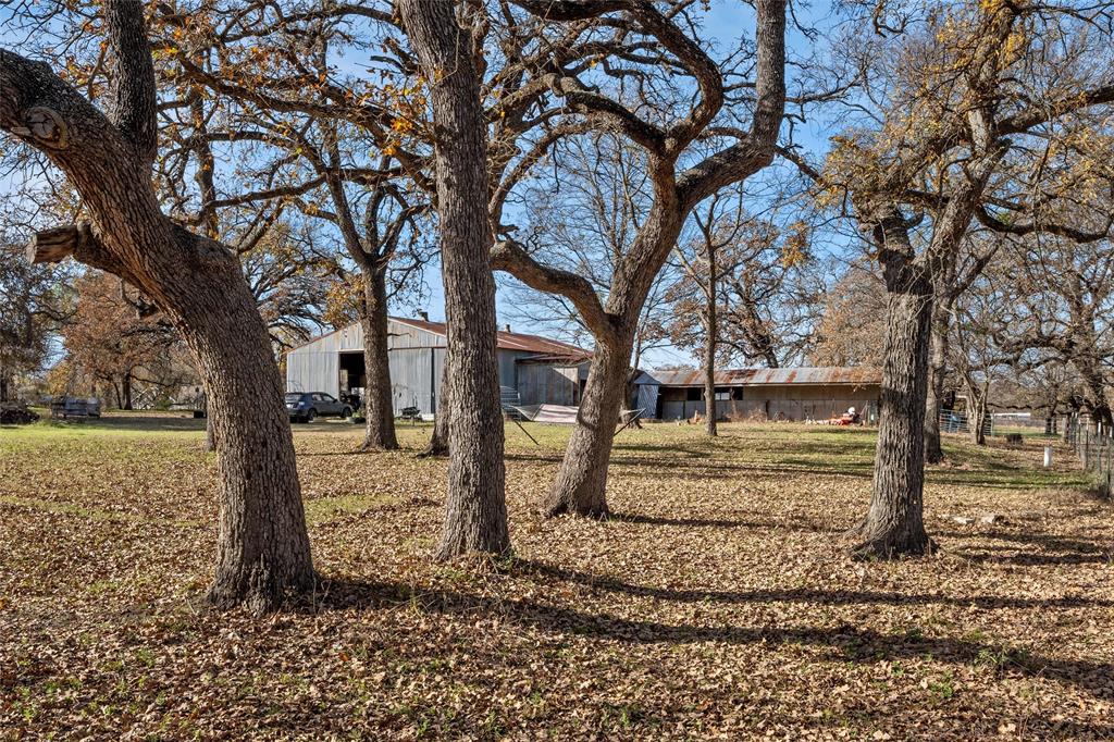 221 Saffle Road Robinson, TX 76706 - Photo 24 of 40 a view of a yard with a tree