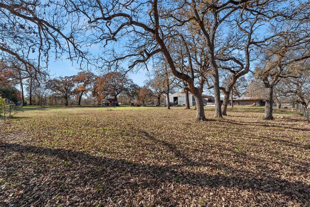 221 Saffle Road Robinson, TX 76706 - Photo 26 of 40 a view of yard with tree