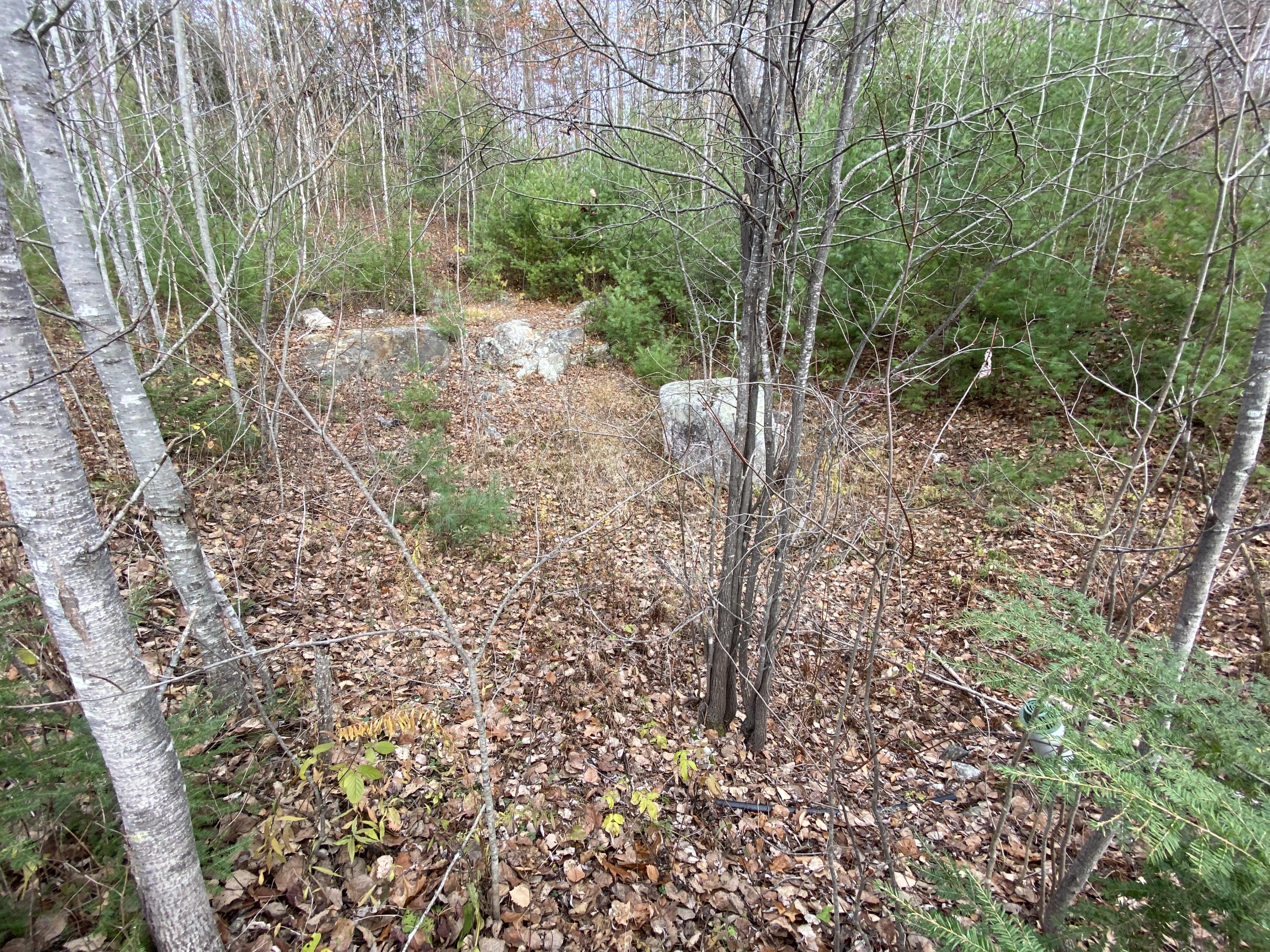 0 Libby Road, Unit LOT #1 West Newfield, ME 04095 - Photo 2 of 14 IMG_0724
