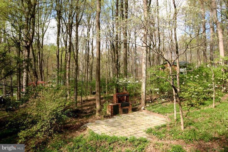 8125 Hamilton Spring Road Bethesda, MD 20817 - Photo 3 of 8 Back yard