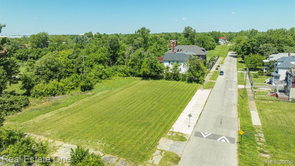 1075 Coplin Street Detroit, MI 48215 - Photo 5 of 14