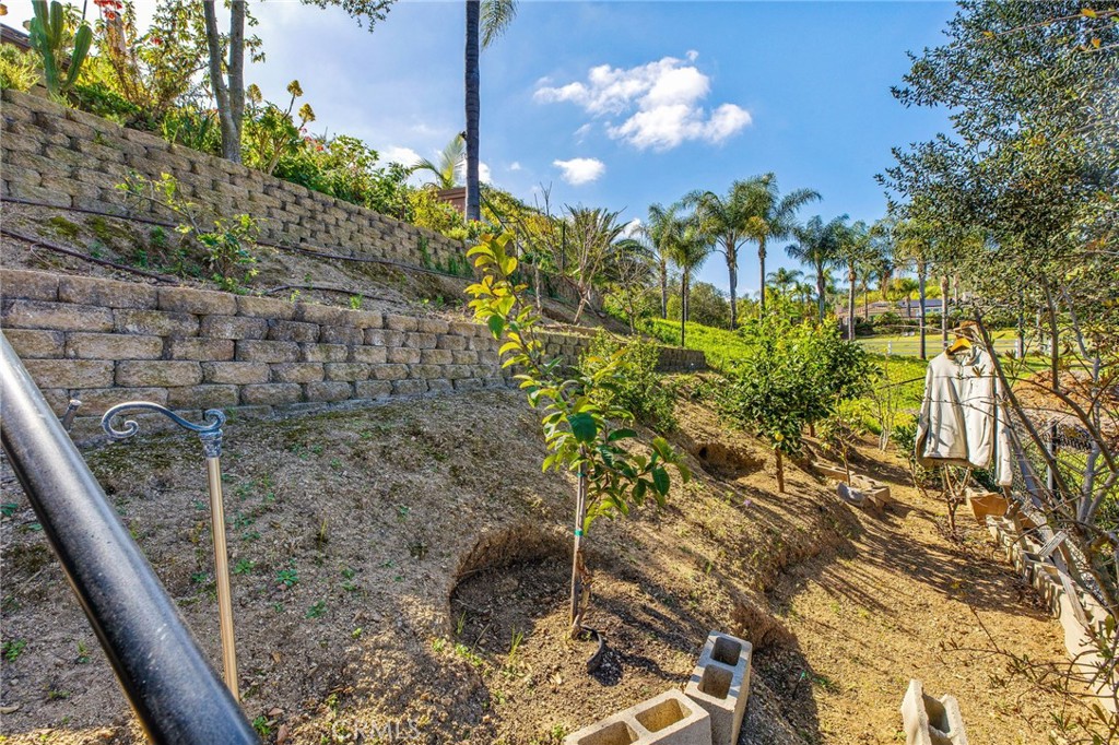 4709 Briana Court Fallbrook, CA 92028 - Photo 52 of 57 a view of a backyard of the house