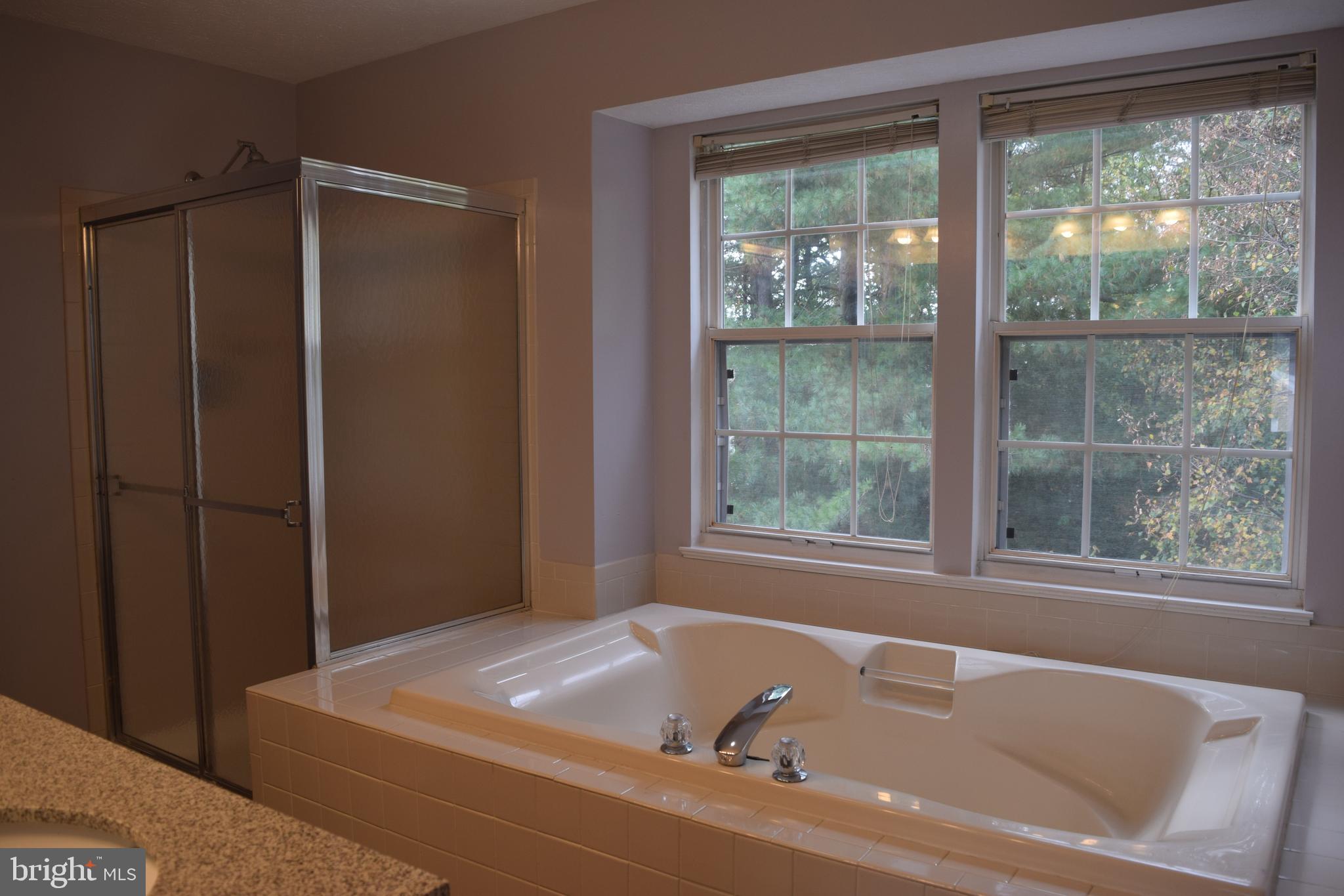 729 Monarch Ridge Road Frederick, MD 21703 - Photo 9 of 15 Master Bath w/Soaking Tub