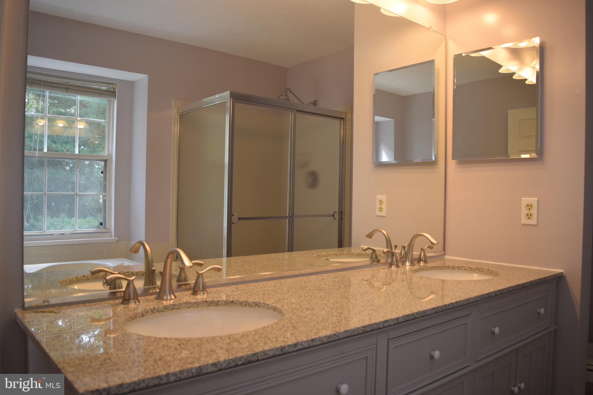 729 Monarch Ridge Road Frederick, MD 21703 - Photo 10 of 15 Master Bath Double Vanity