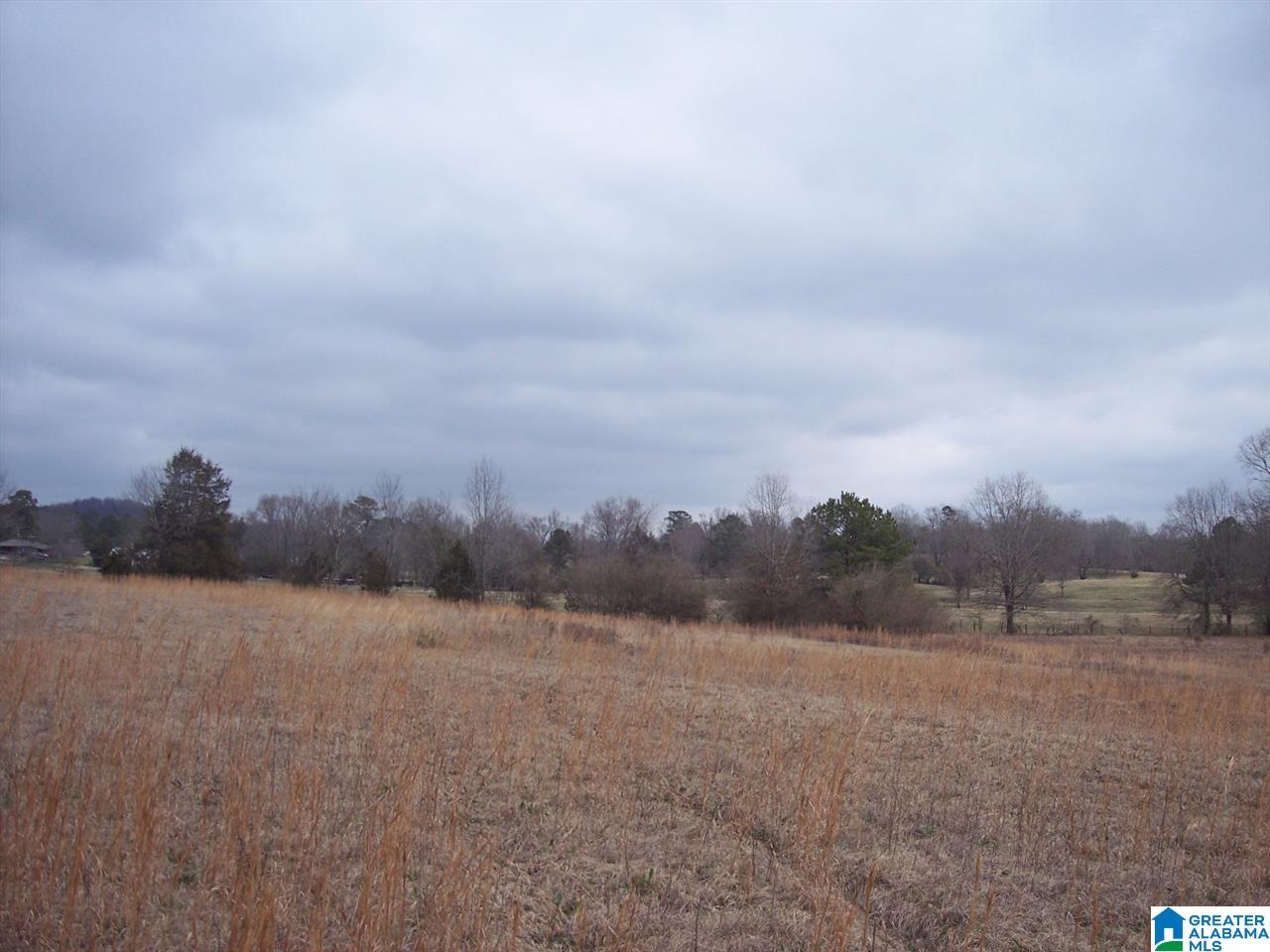 0 Big Oak Road Ohatchee, AL 36271 - Photo 6 of 7