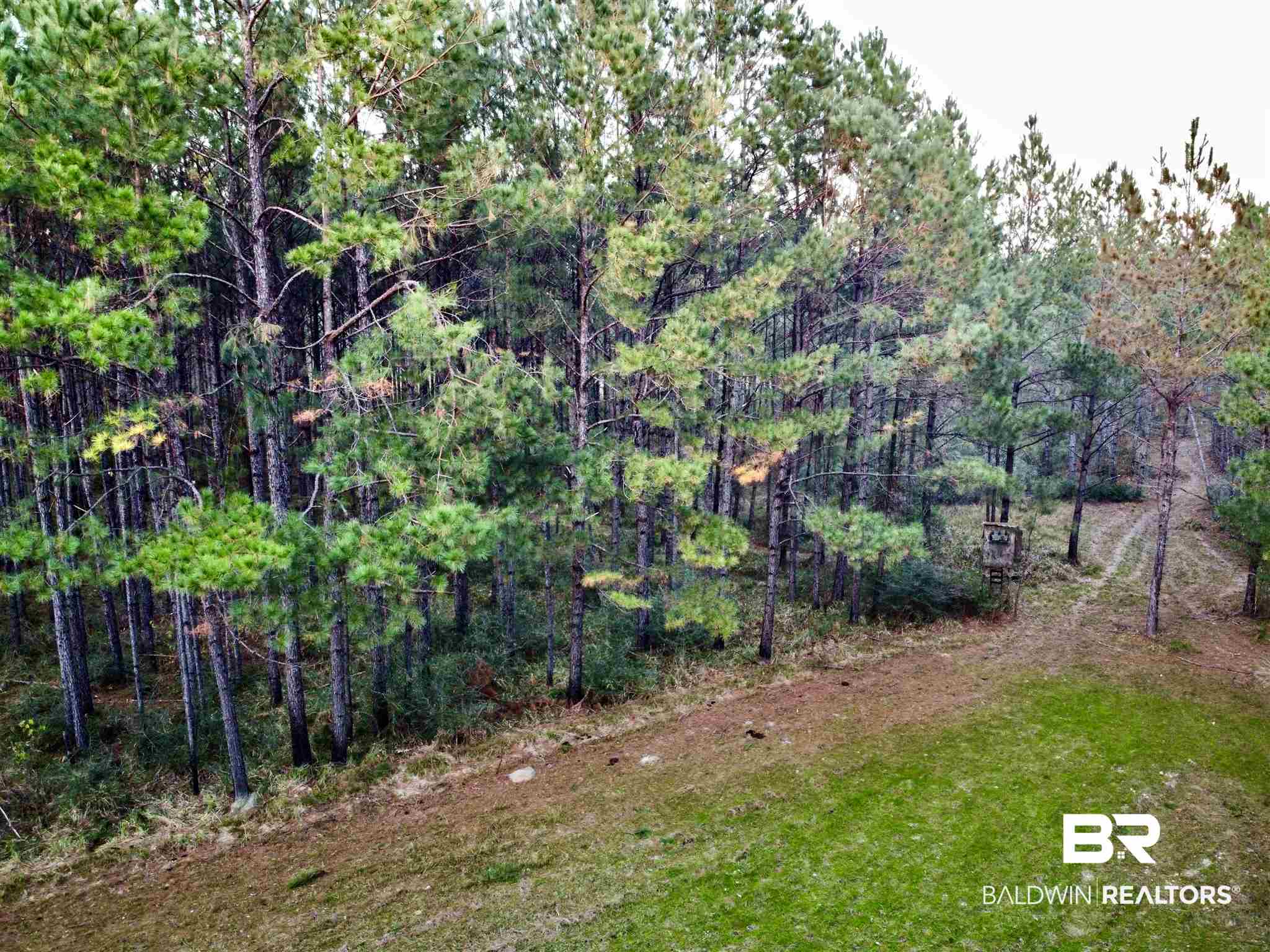 0 Country Road Fruitdale, AL 36539 - Photo 9 of 47