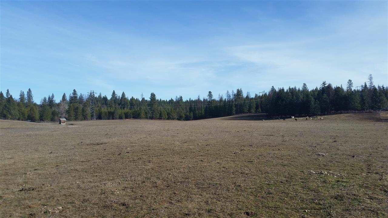4807 Whittier Road Clayton, WA 99110 - Photo 14 of 20
