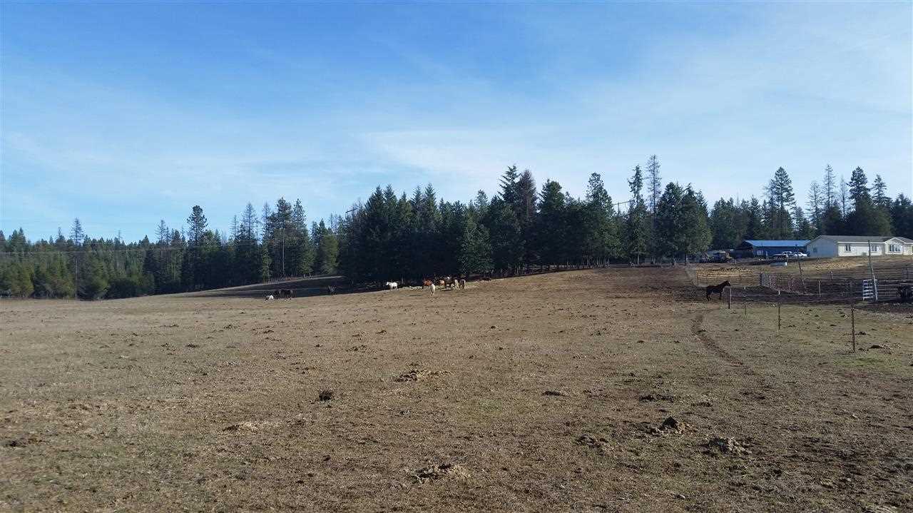4807 Whittier Road Clayton, WA 99110 - Photo 17 of 20