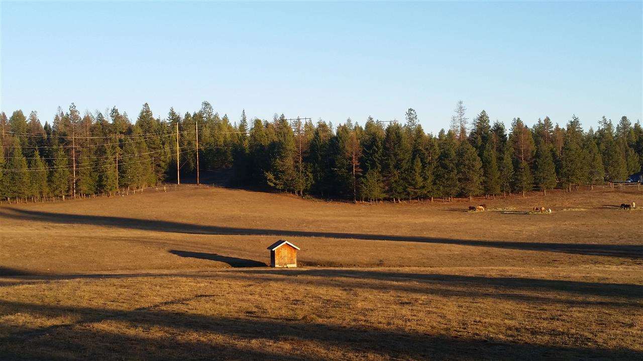 4807 Whittier Road Clayton, WA 99110 - Photo 18 of 20