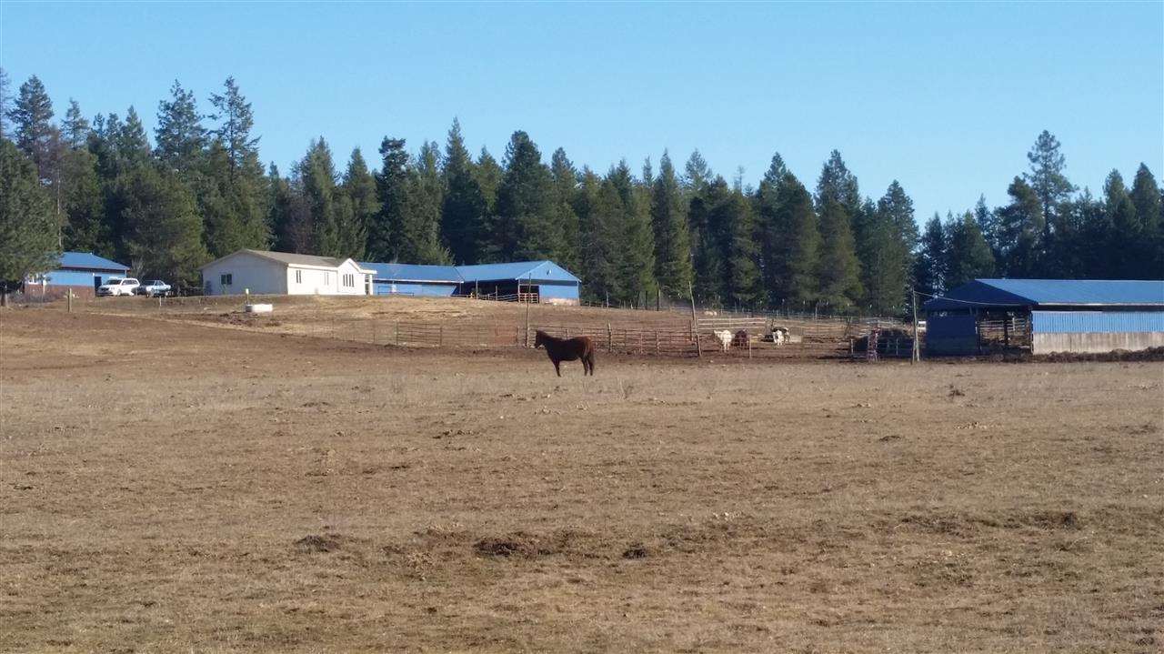 4807 Whittier Road Clayton, WA 99110 - Photo 7 of 20