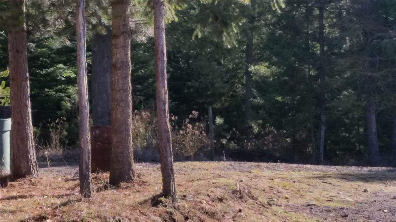 4807 Whittier Road Clayton, WA 99110 - Photo 8 of 20