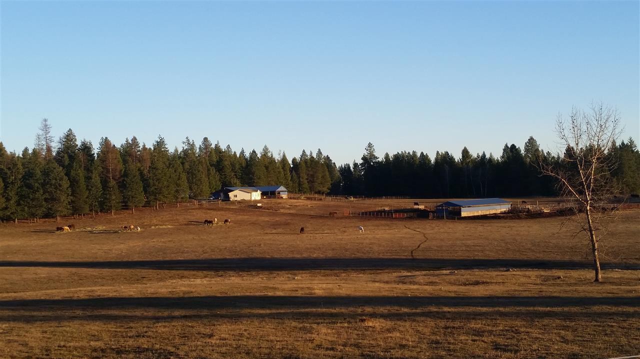 4807 Whittier Road Clayton, WA 99110 - Photo 10 of 20