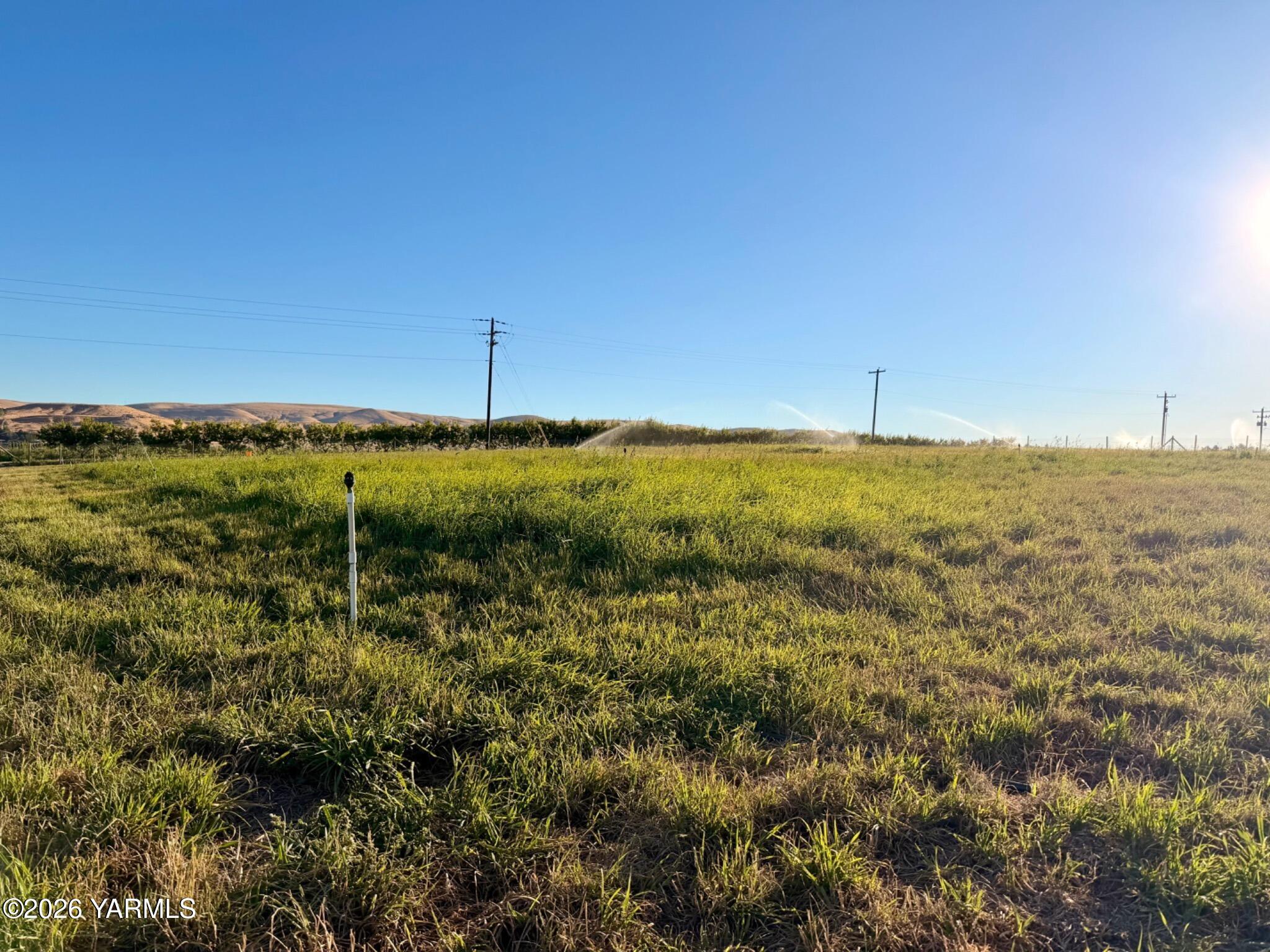 5060 Lombard Loop Road Zillah, WA 98953 - Photo 44 of 56 sprinklers