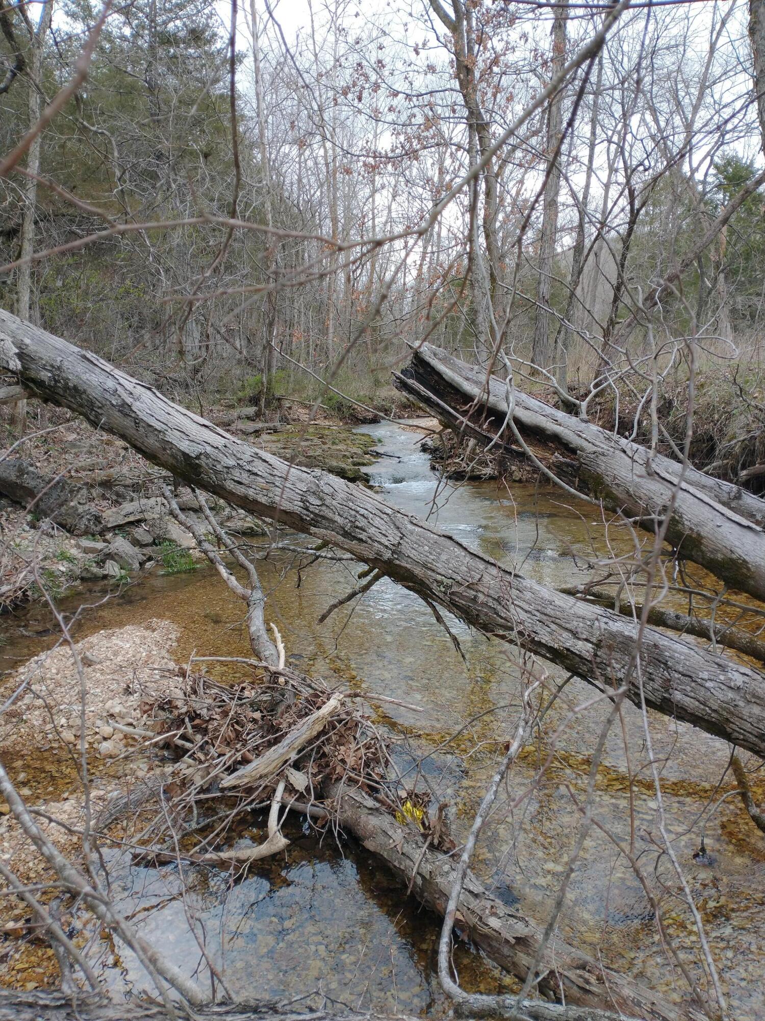 Tract Z Red Rock Road Reeds Spring, MO 65737 - Photo 23 of 38 2022-04-07 15.24.29