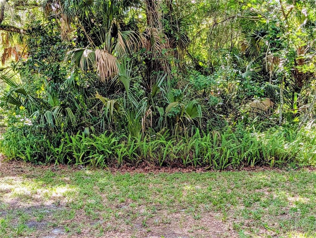 0 North Toro Drive Inverness, FL 34453 - Photo 4 of 12
