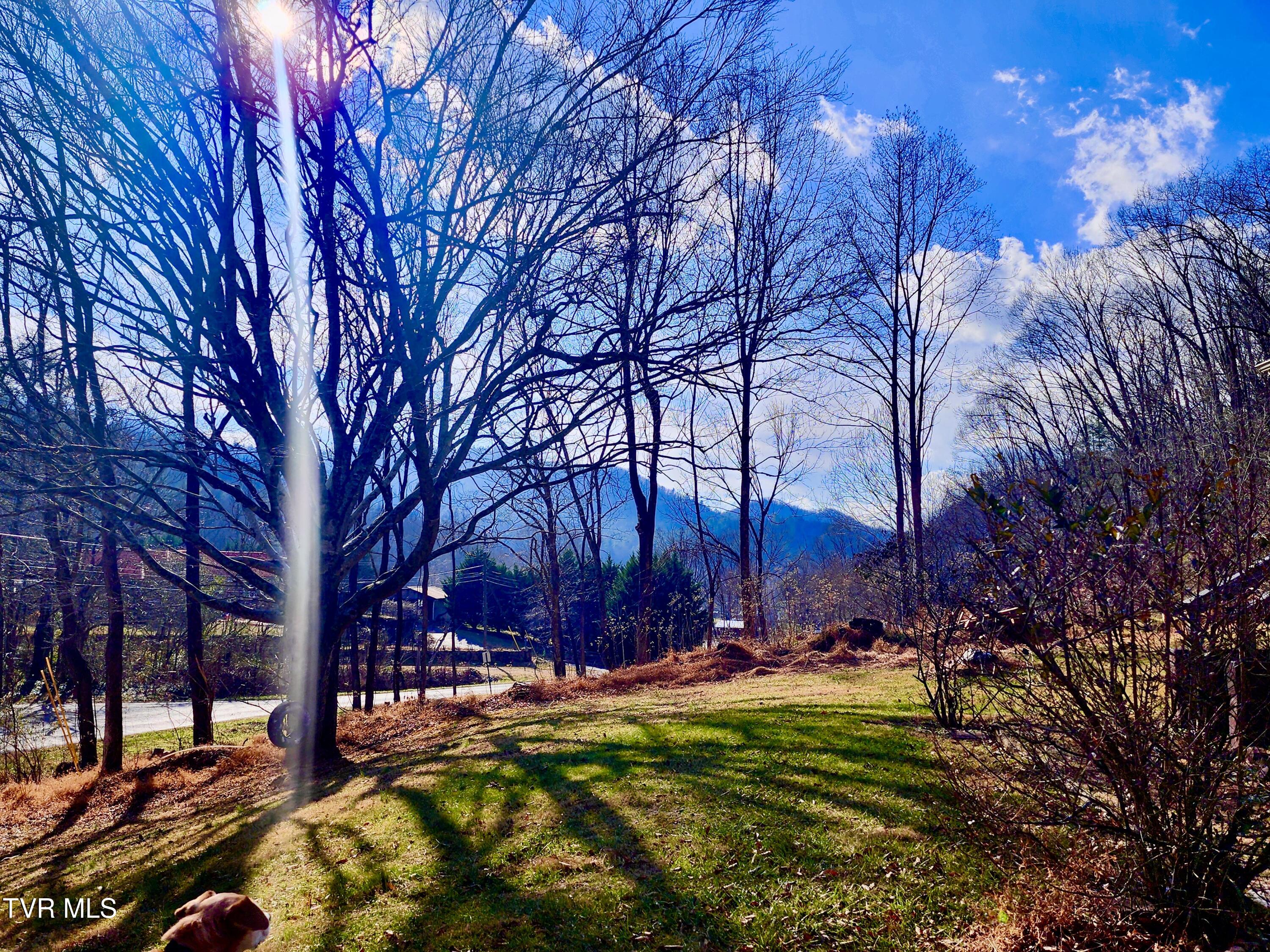 119 Morris Road Erwin, TN 37650 - Photo 13 of 57 IMG_0862