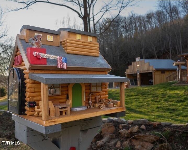 119 Morris Road Erwin, TN 37650 - Photo 10 of 57 IMG_0878