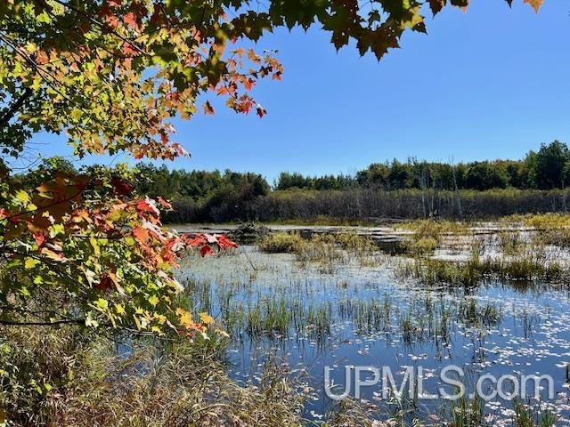 25307 Dover Road Calumet, MI 49913 - Photo 10 of 47