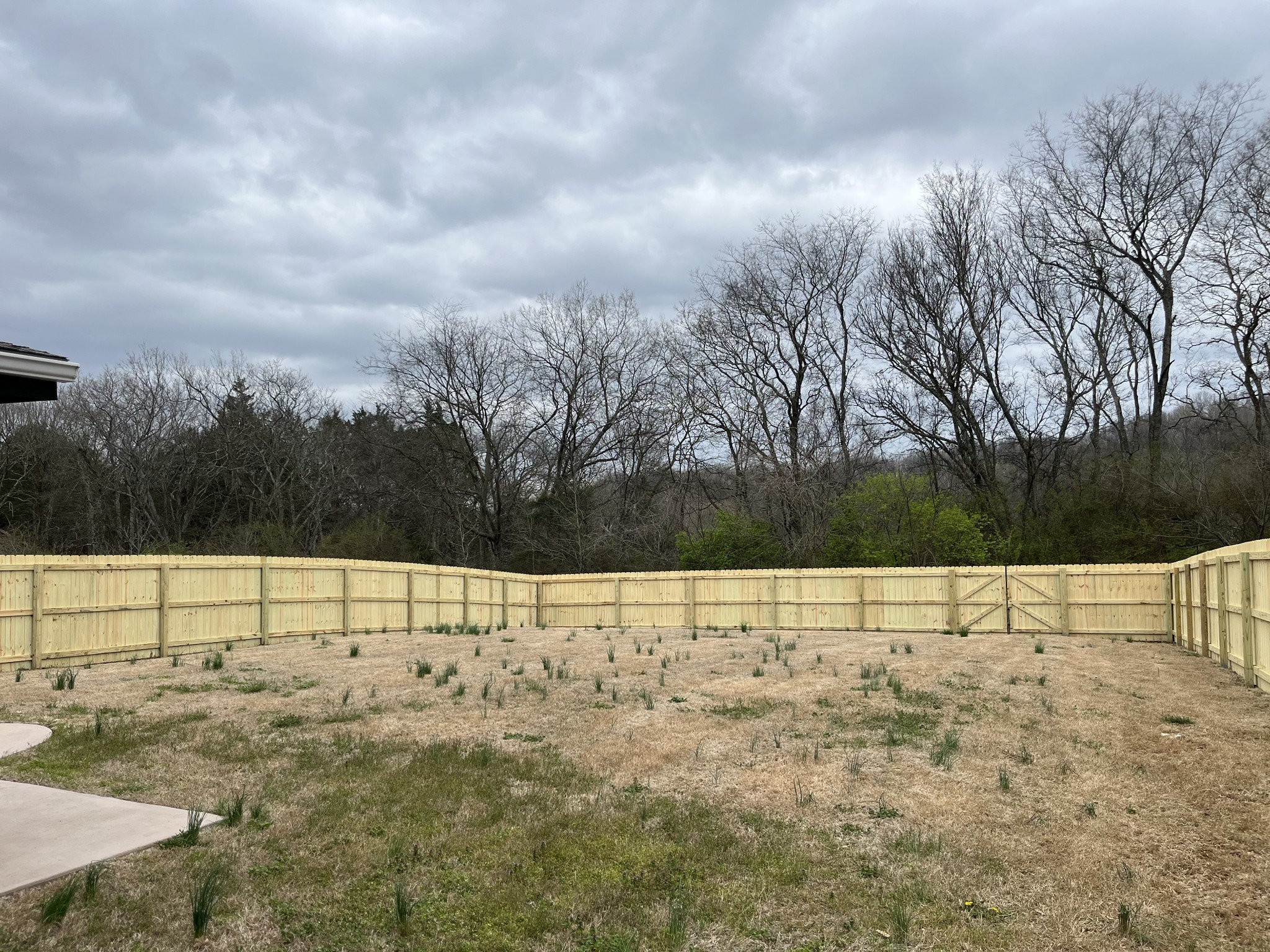 1005 Benwick Road Hendersonville, TN 37075 - Photo 10 of 12 a view of outdoor space and yard