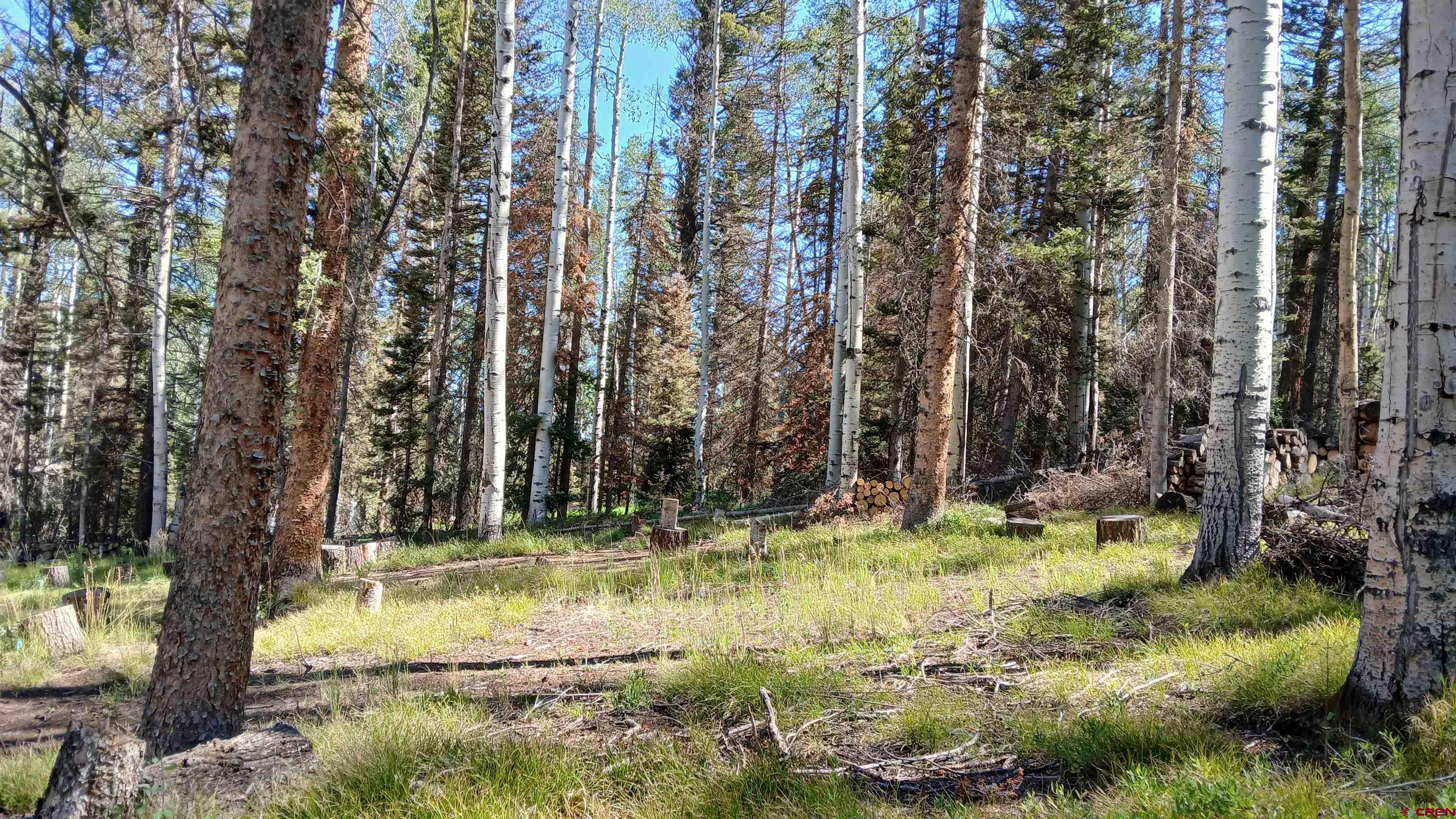 2020 Spruce Road Cimarron, CO 81220 - Photo 10 of 24