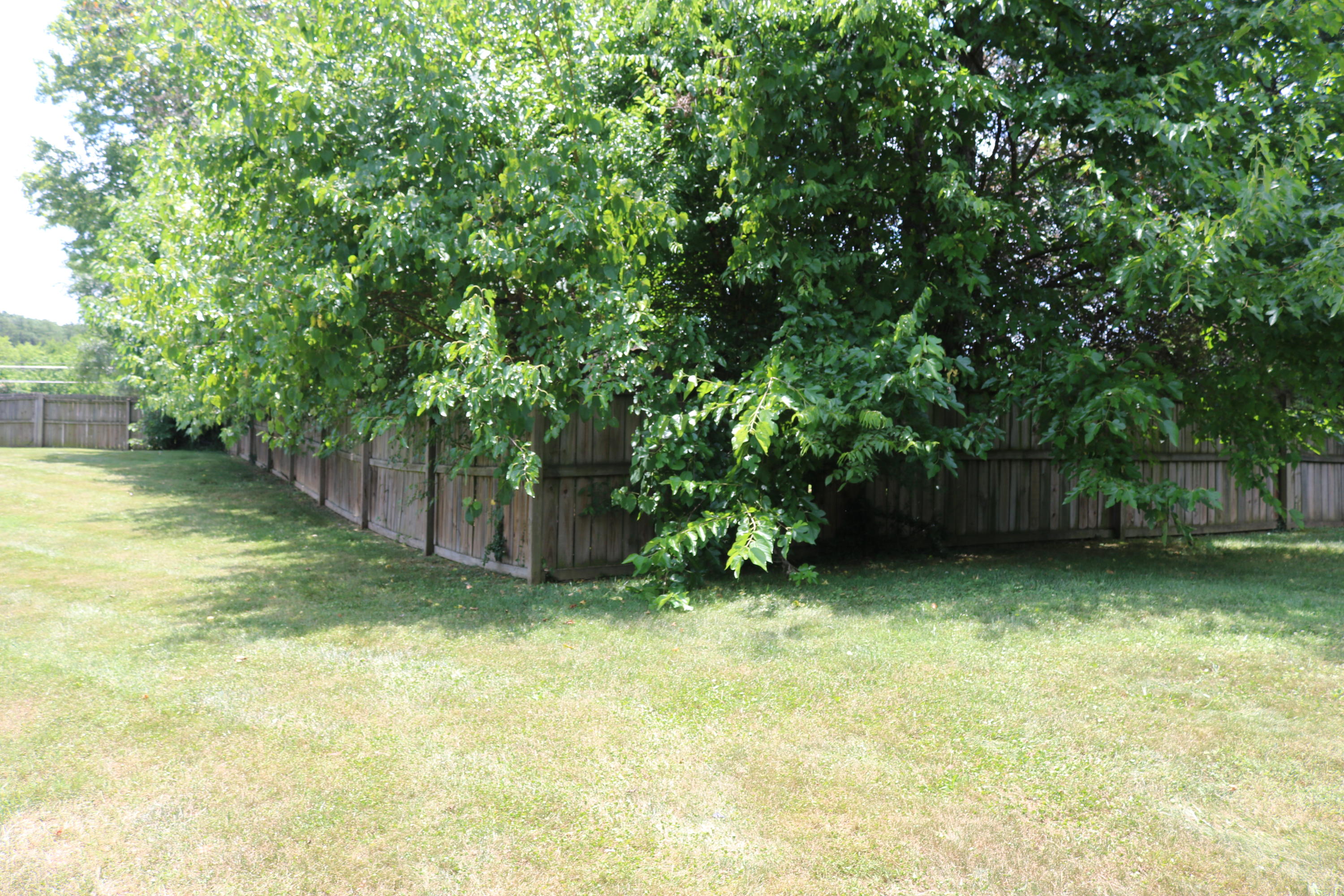 4726 Pleasant Ridge Road Knoxville, TN 37912 - Photo 22 of 26 IMG_6689