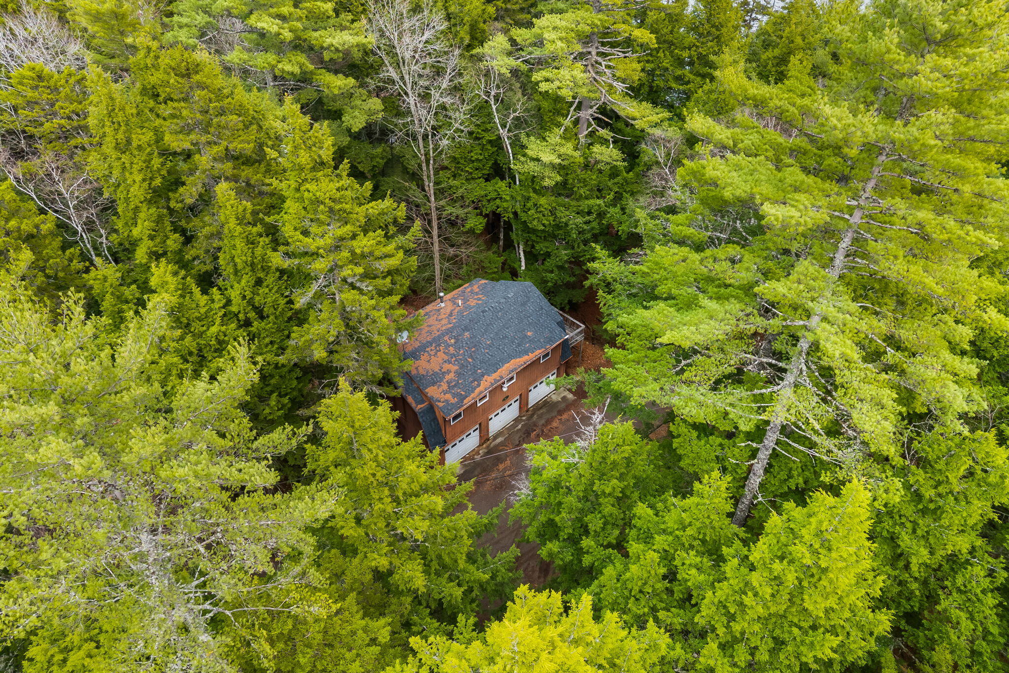 154 Seymour Cove Road Bowerbank, ME 04426 - Photo 67 of 76 84-web-or-mls-154-seymour-cove-rd