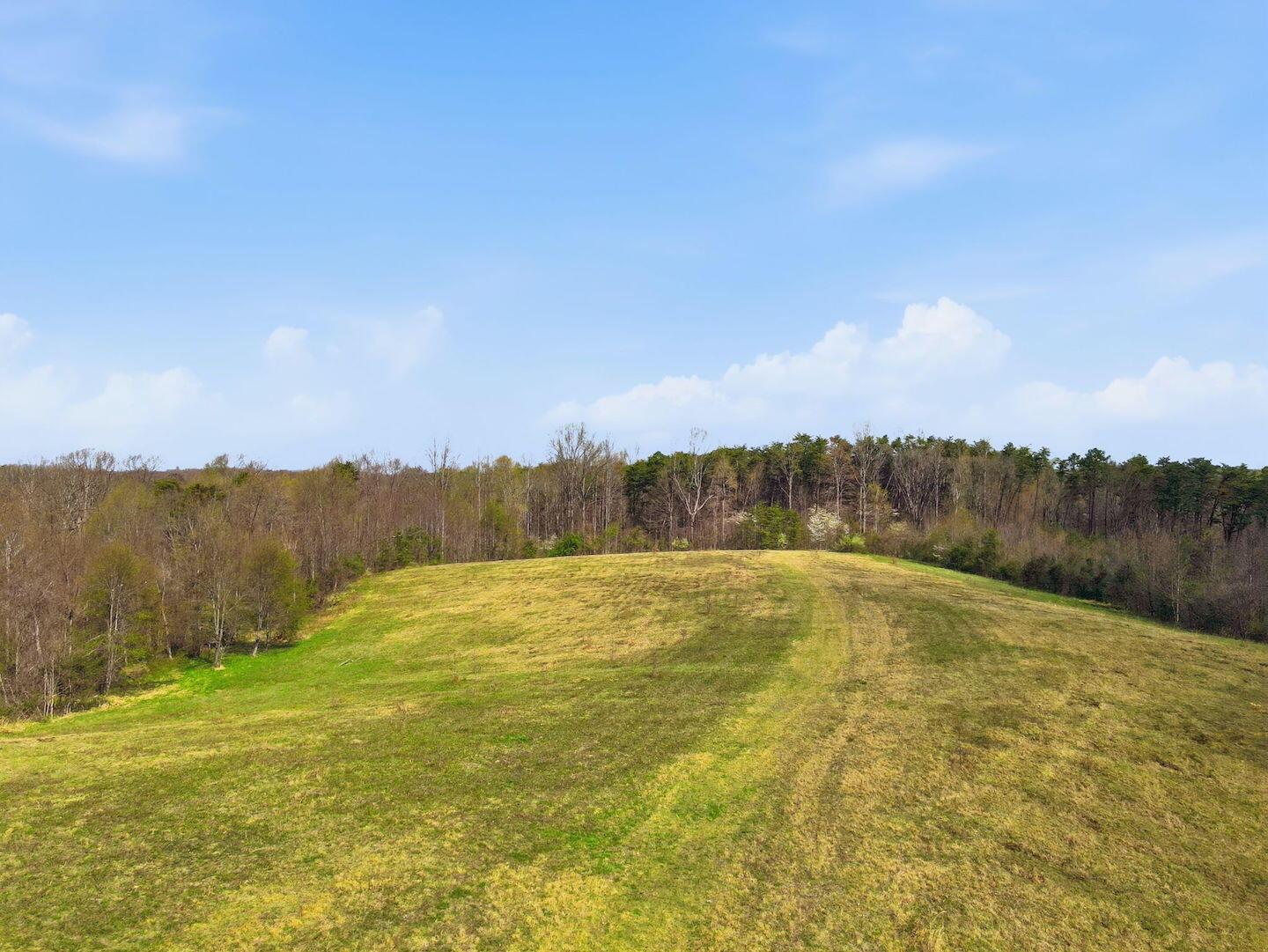0 Roberts Road Jackson, OH 45640 - Photo 19 of 42 19-web-or-mls-DJI_0645
