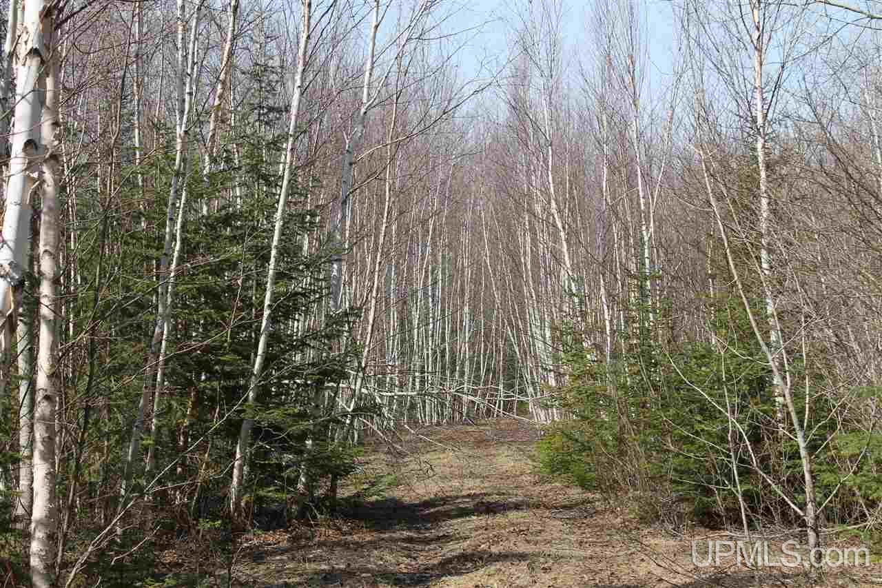 Tbd Reeds Point Road, Unit LAT 46 89919 LON 88 2455 Lanse, MI 49946 - Photo 10 of 19