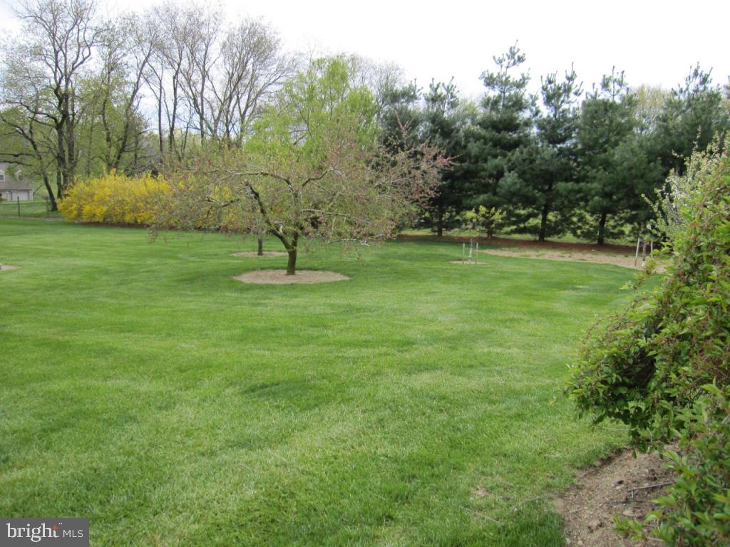 218 Lyndam Lane Lititz, PA 17543 - Photo 13 of 36