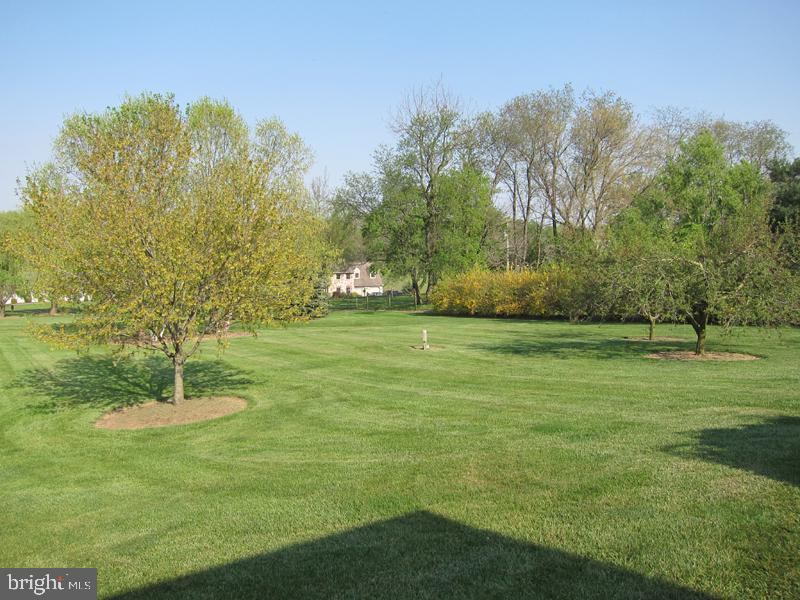 218 Lyndam Lane Lititz, PA 17543 - Photo 10 of 36
