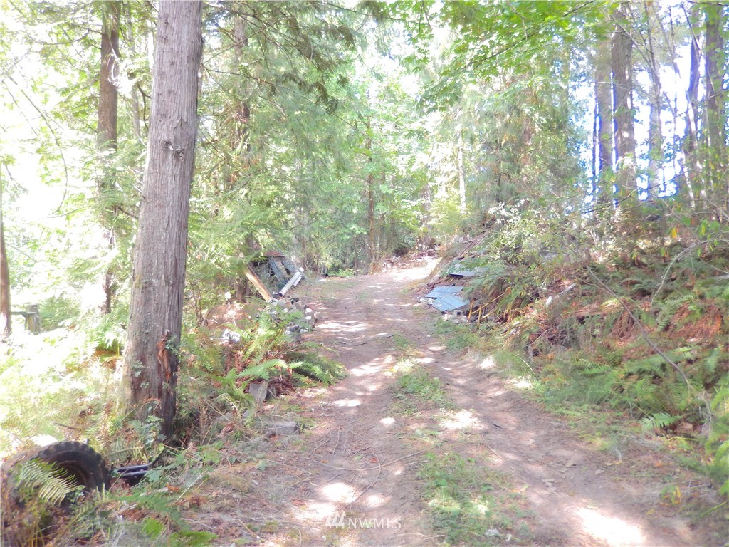 2805 Southeast Spring Creek Road Port Orchard, WA 98367 - Photo 20 of 25 Gallery Image 20