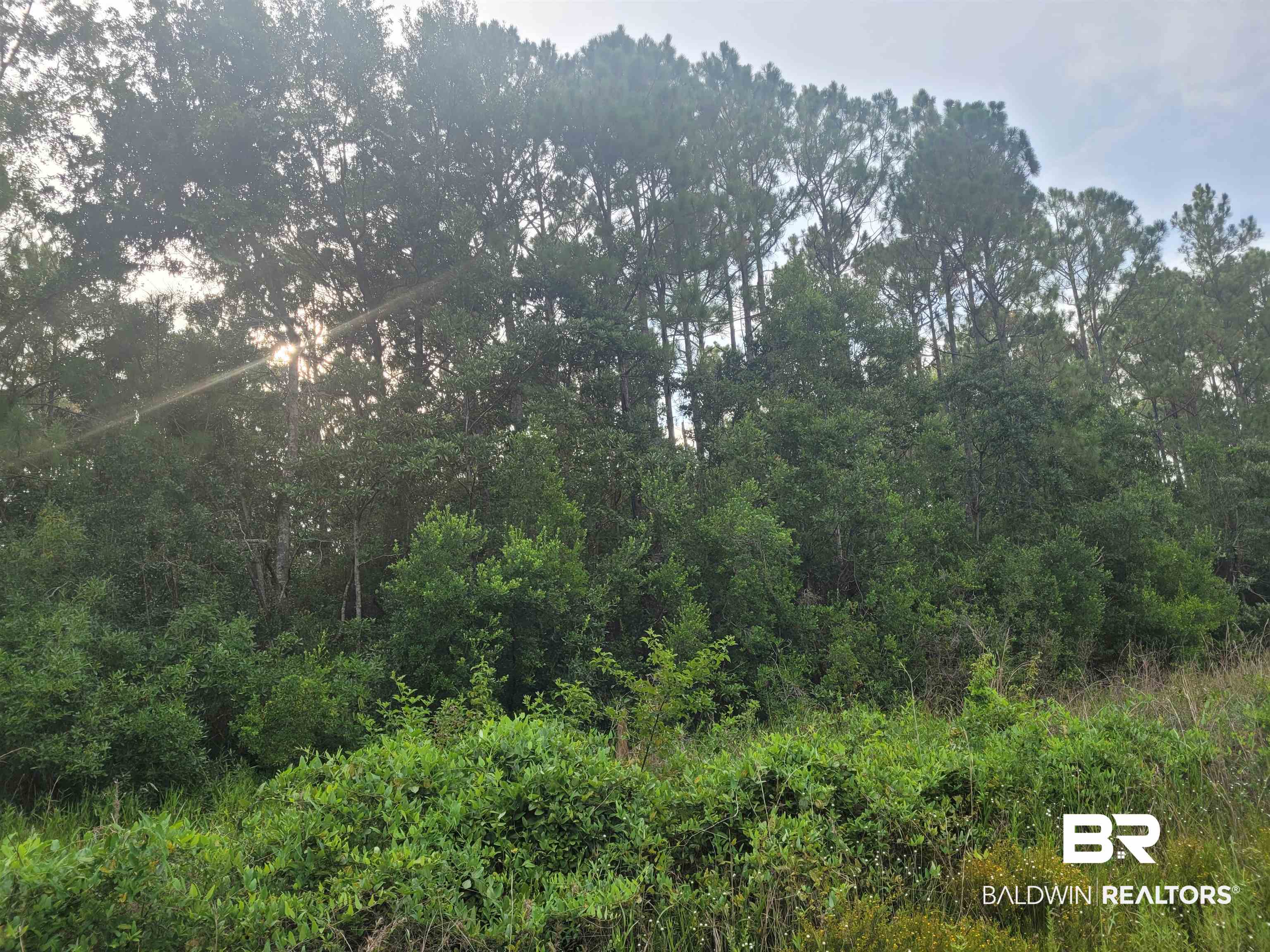 0 Bellingrath Road Theodore, AL 36582 - Photo 3 of 6 Gallery Image 3