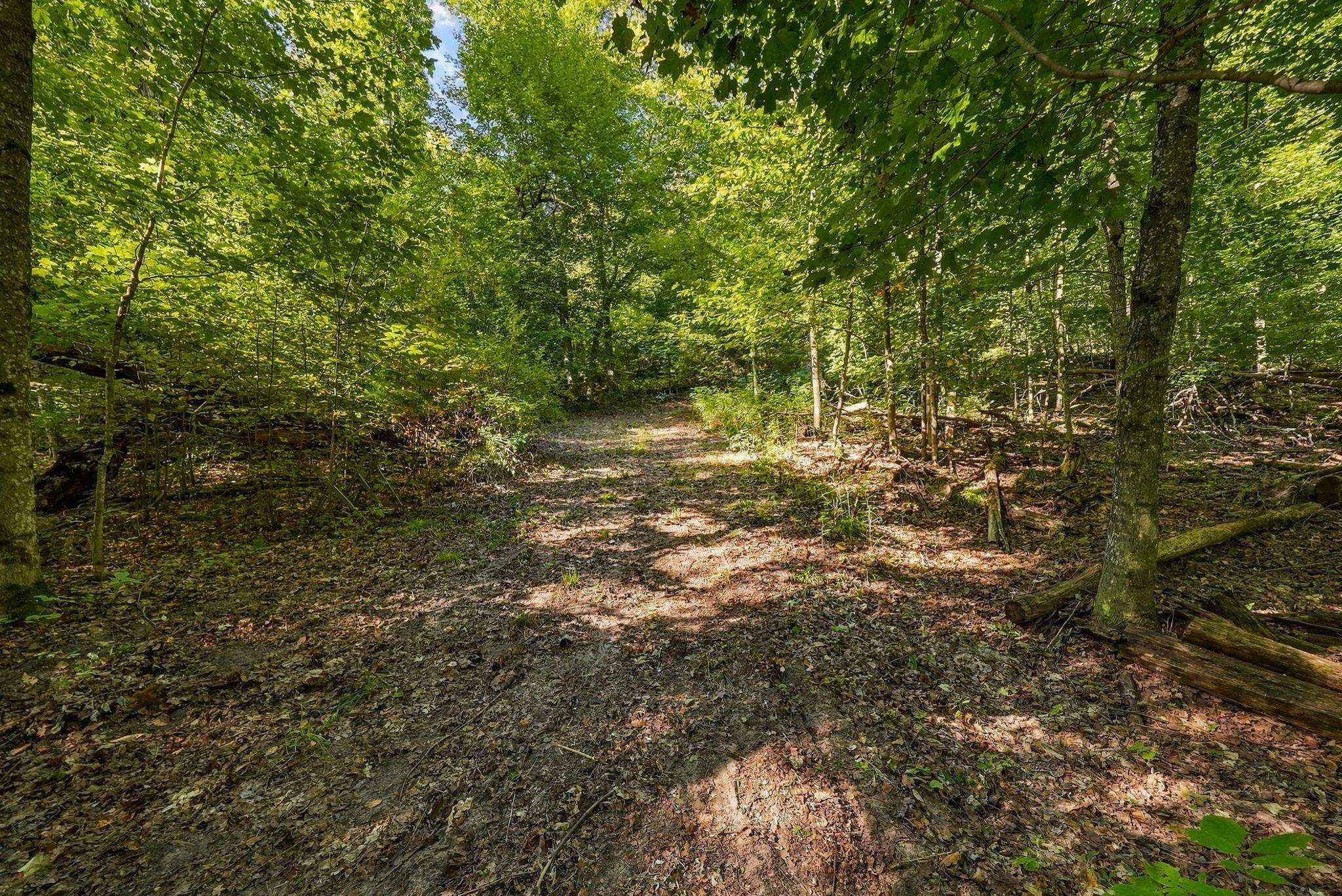 8280 South Vineyard Road Cedar, MI 49621 - Photo 20 of 49 1951342-198acdaf-7e10-4b70-842b-fd30e15661a0.JPG