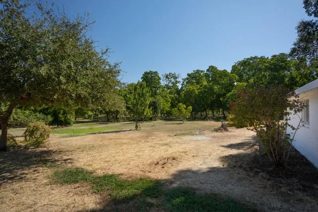 a view of a yard with a tree