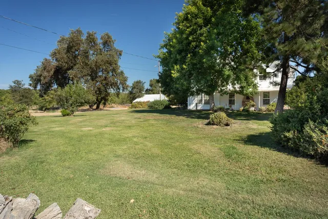a view of a park with large trees