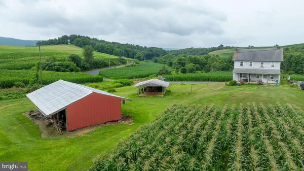a view of backyard of house with green space