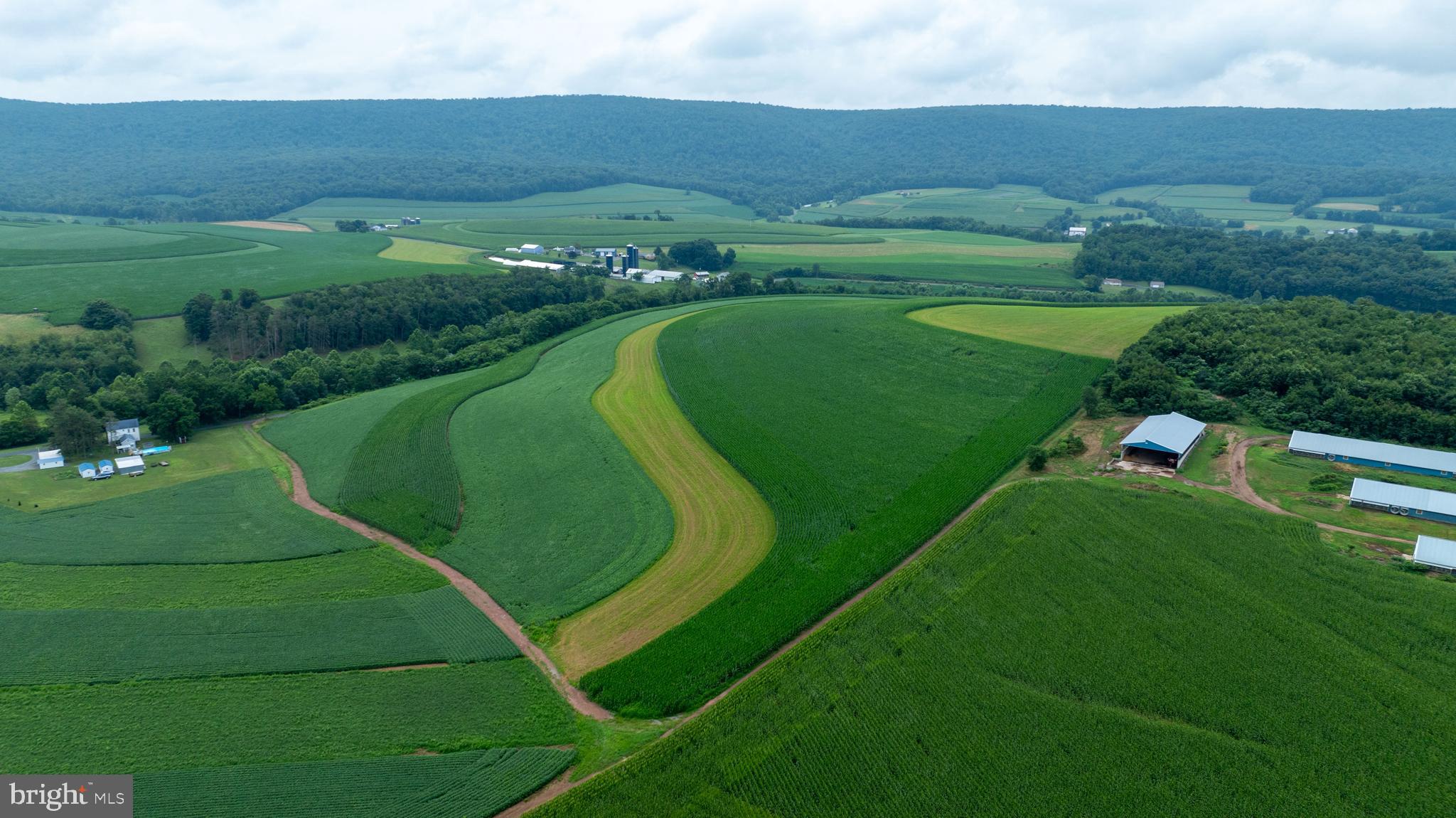15 Snyder Road Pitman, PA 17964 - Photo 28 of 120 an aerial view of a golf course with a lake view